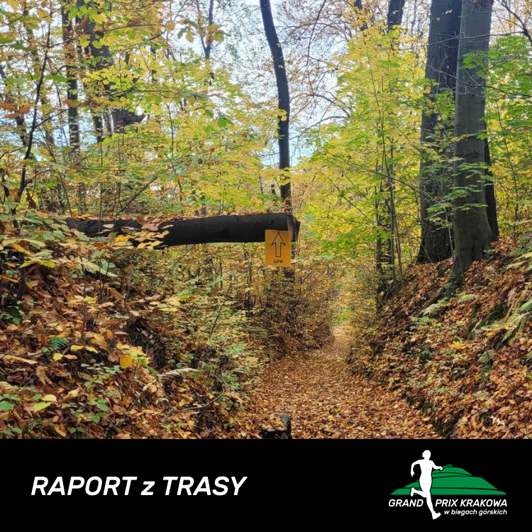 Read more about the article Raport z trasy!