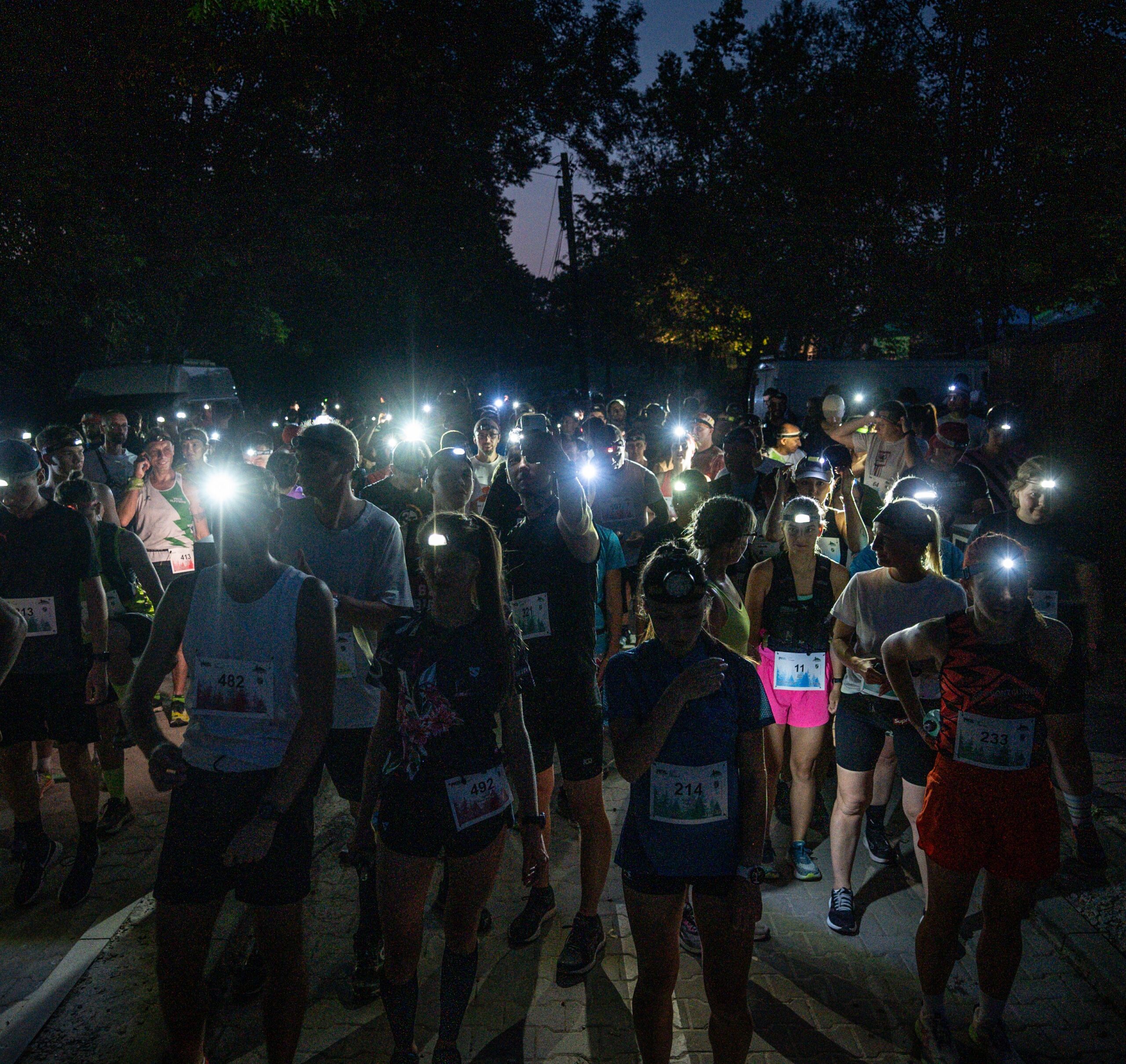 Frekwencja Biegów Nocnych