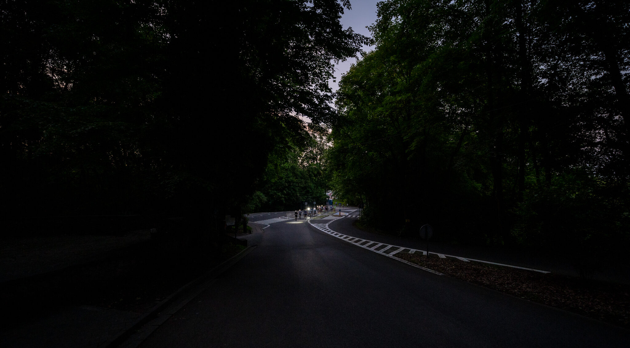 Film z VI Biegu Nocnego